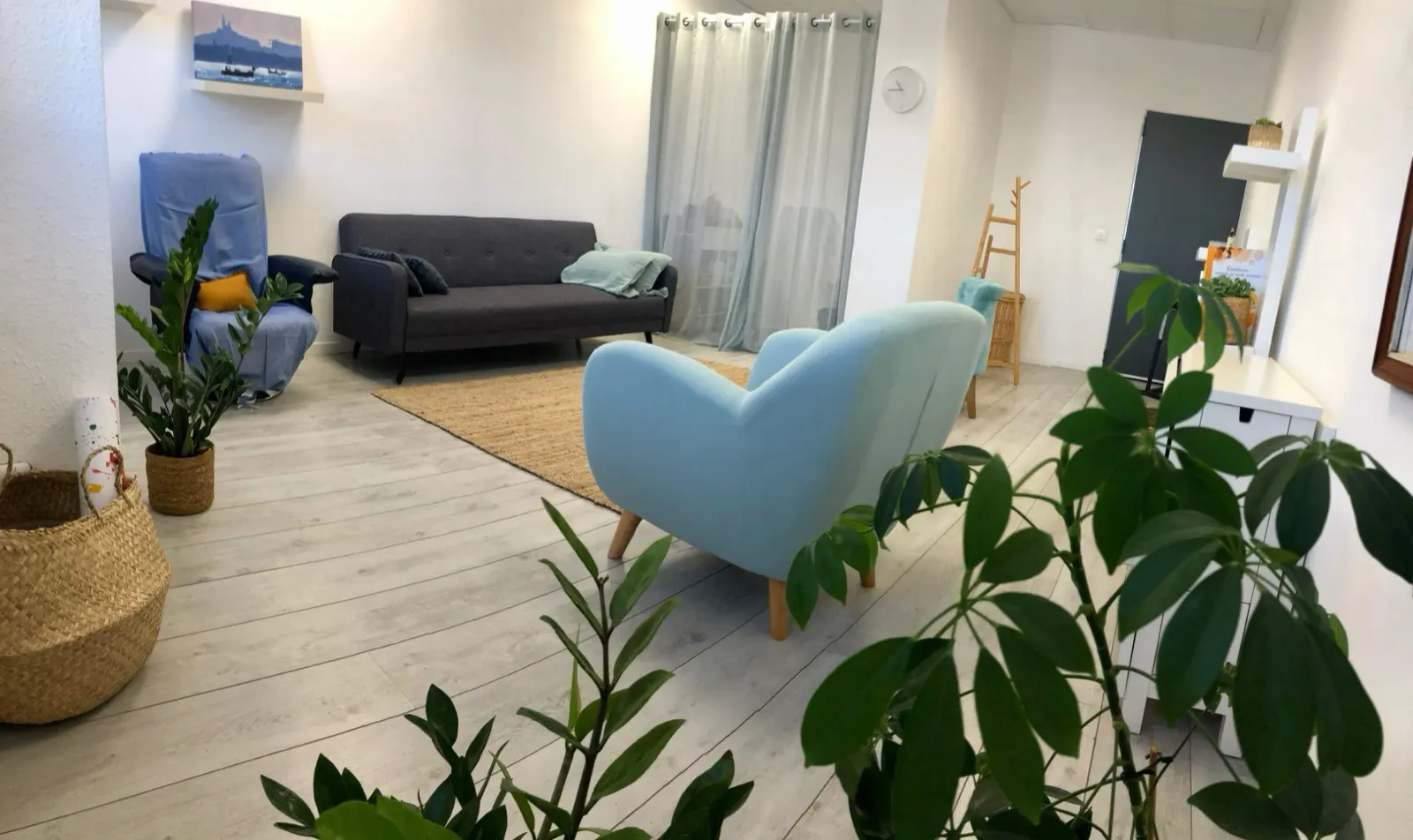 Le cabinet : fauteuils bleus, plantes et lumière naturelle
